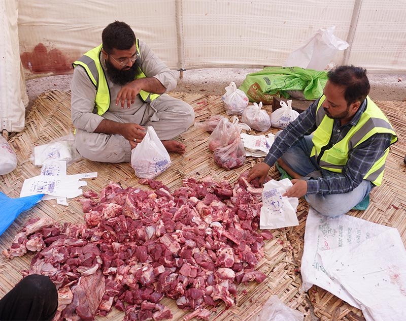 Bright Minds Initiative